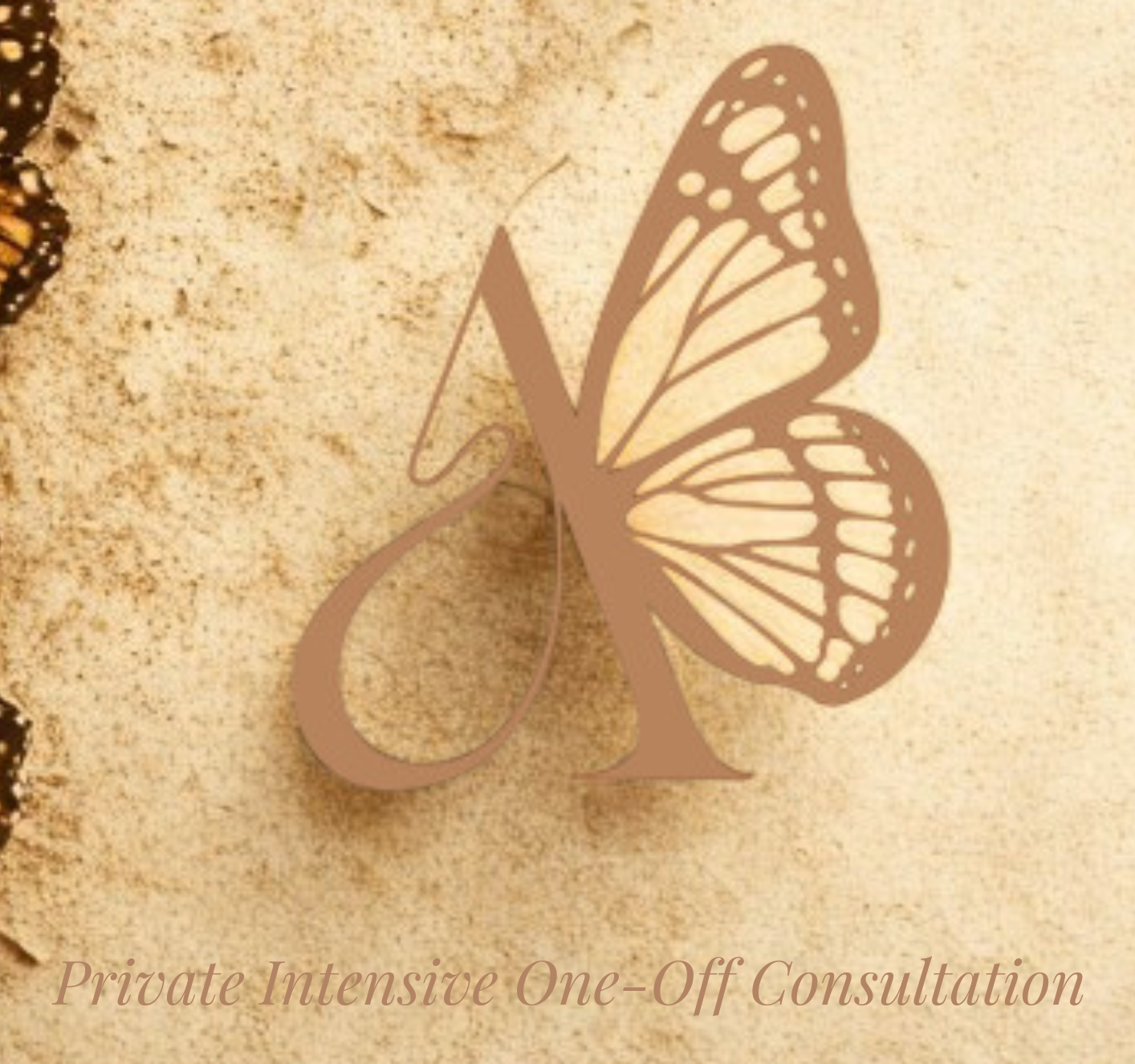 Service 2 : Private Intensive One-Off Consultation